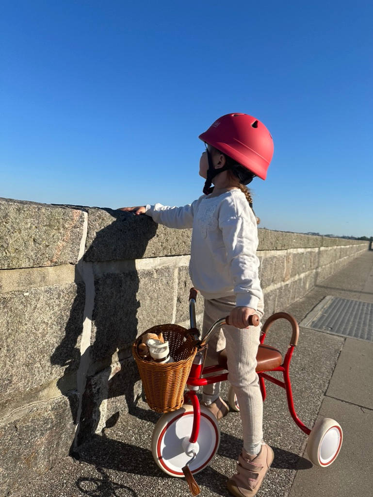 Safety Helmet - Berry