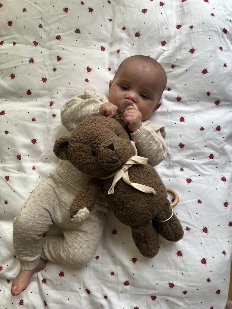 Music Mobile - Plush Teddy - Wood