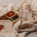 Lunch Box - Ladybug- Silicone