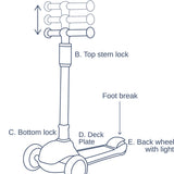Mini Scooter - Honeybee