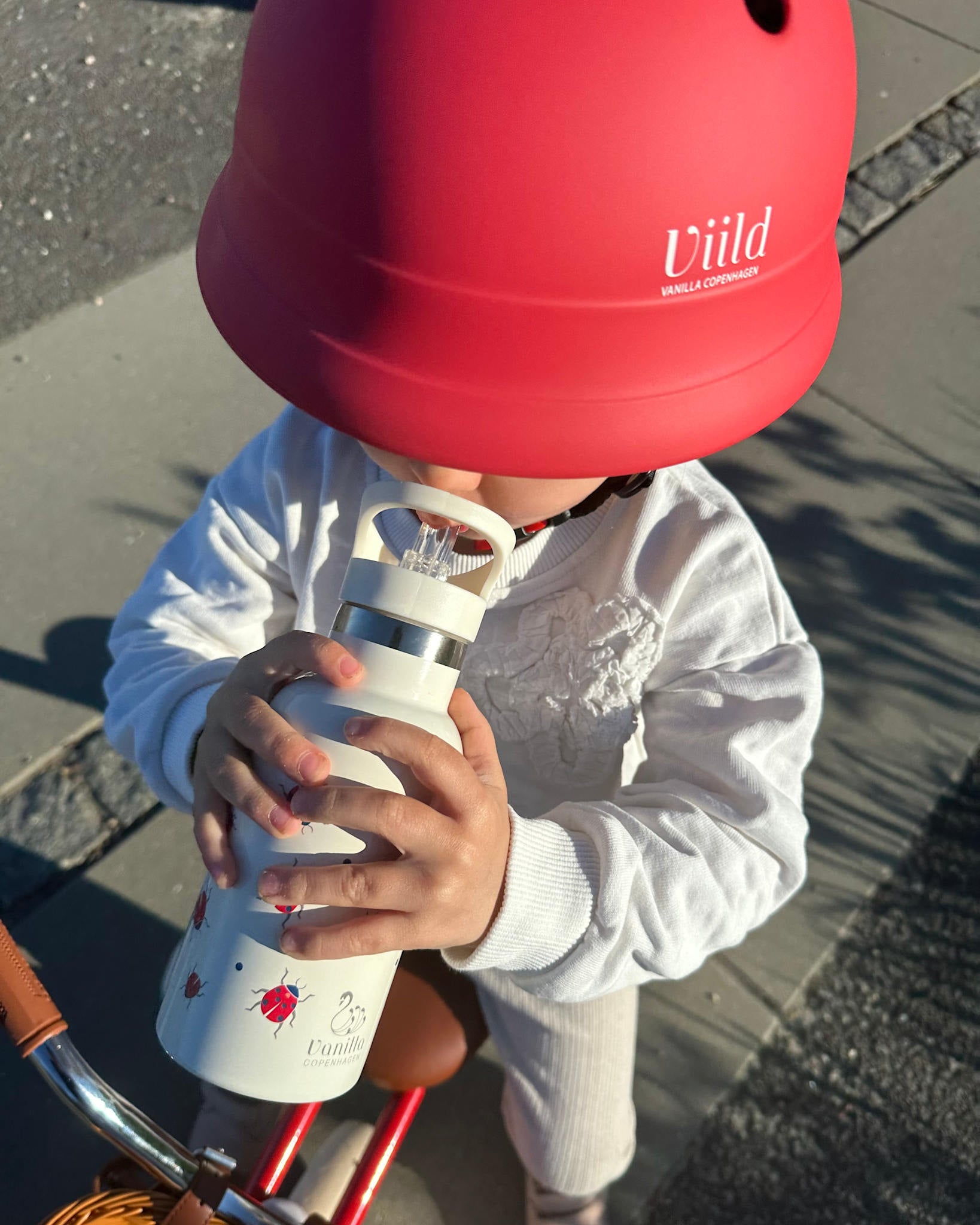 Drinking Bottle - Termo - Ladybug- 350 ml