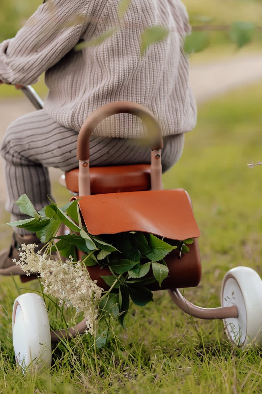 Tricycle - Oak