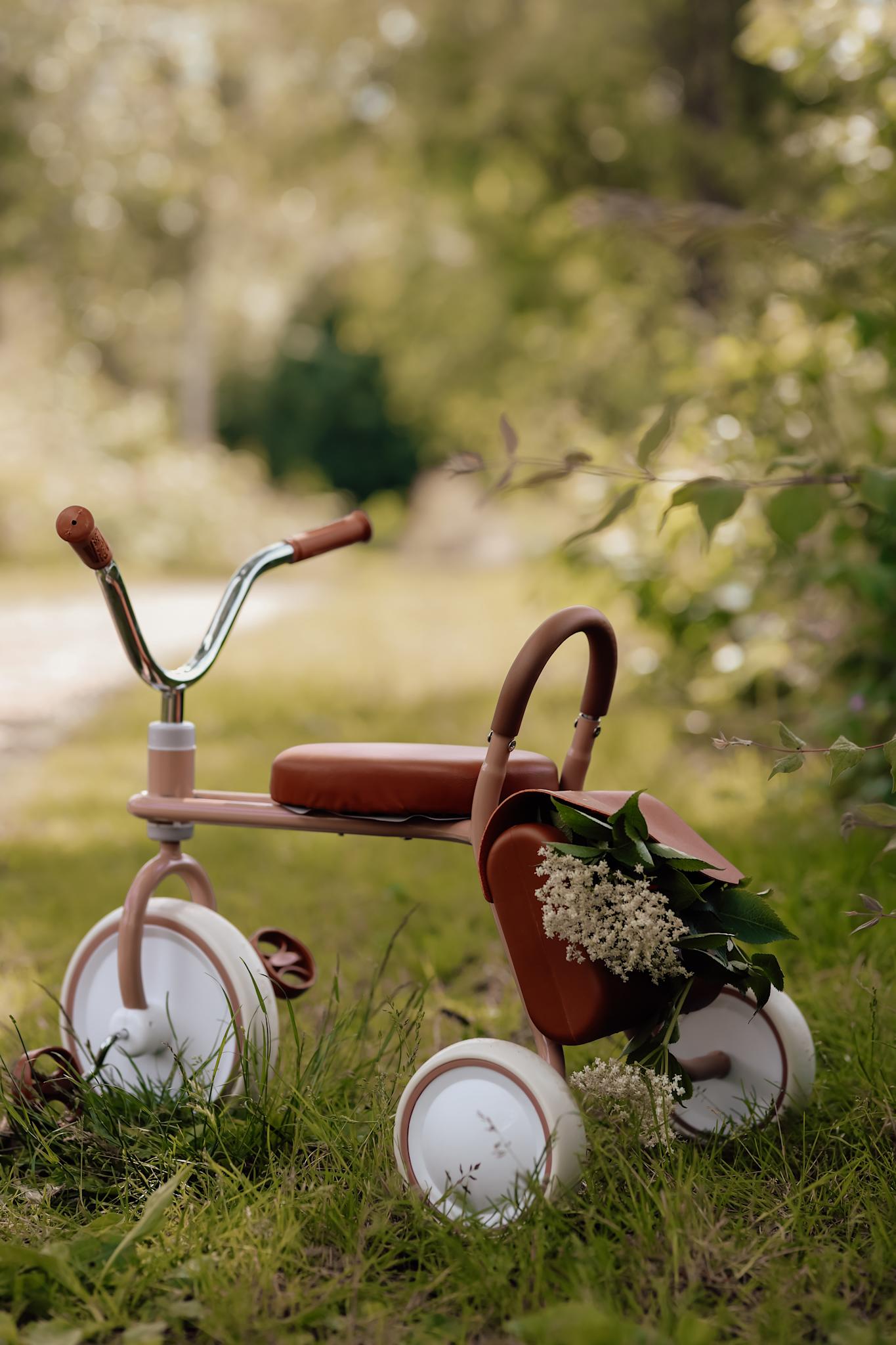 Tricycle - Oak