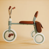 Tricycle - Retro -  Fern