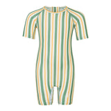 Baby Swim Bodysuit - Fern - Striped