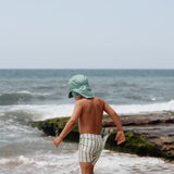 Swim Pants - Fern - Stribed
